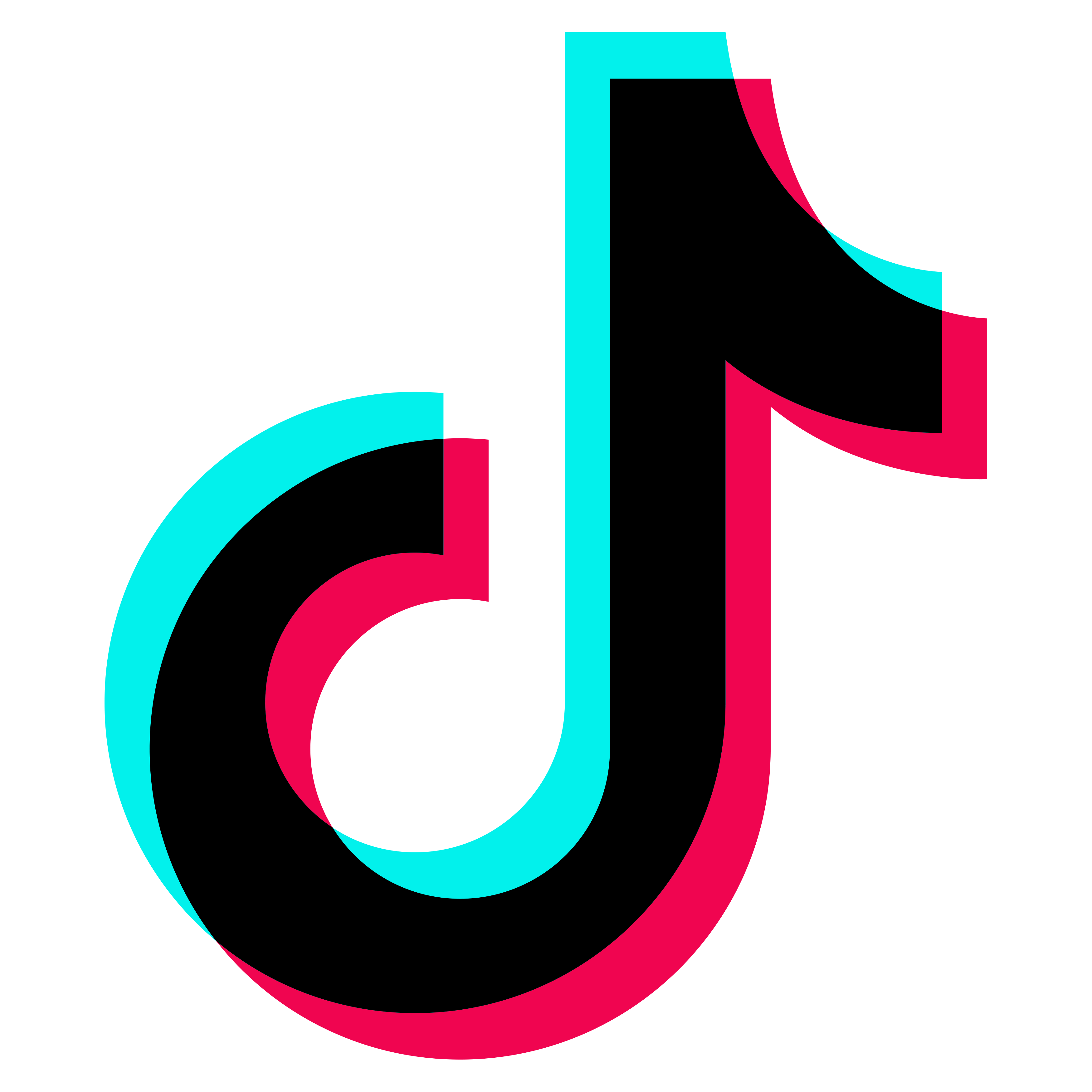 TikTok Logo